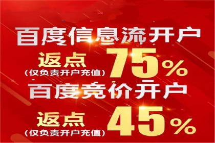 成功利用百度竞价赚钱的五大案例